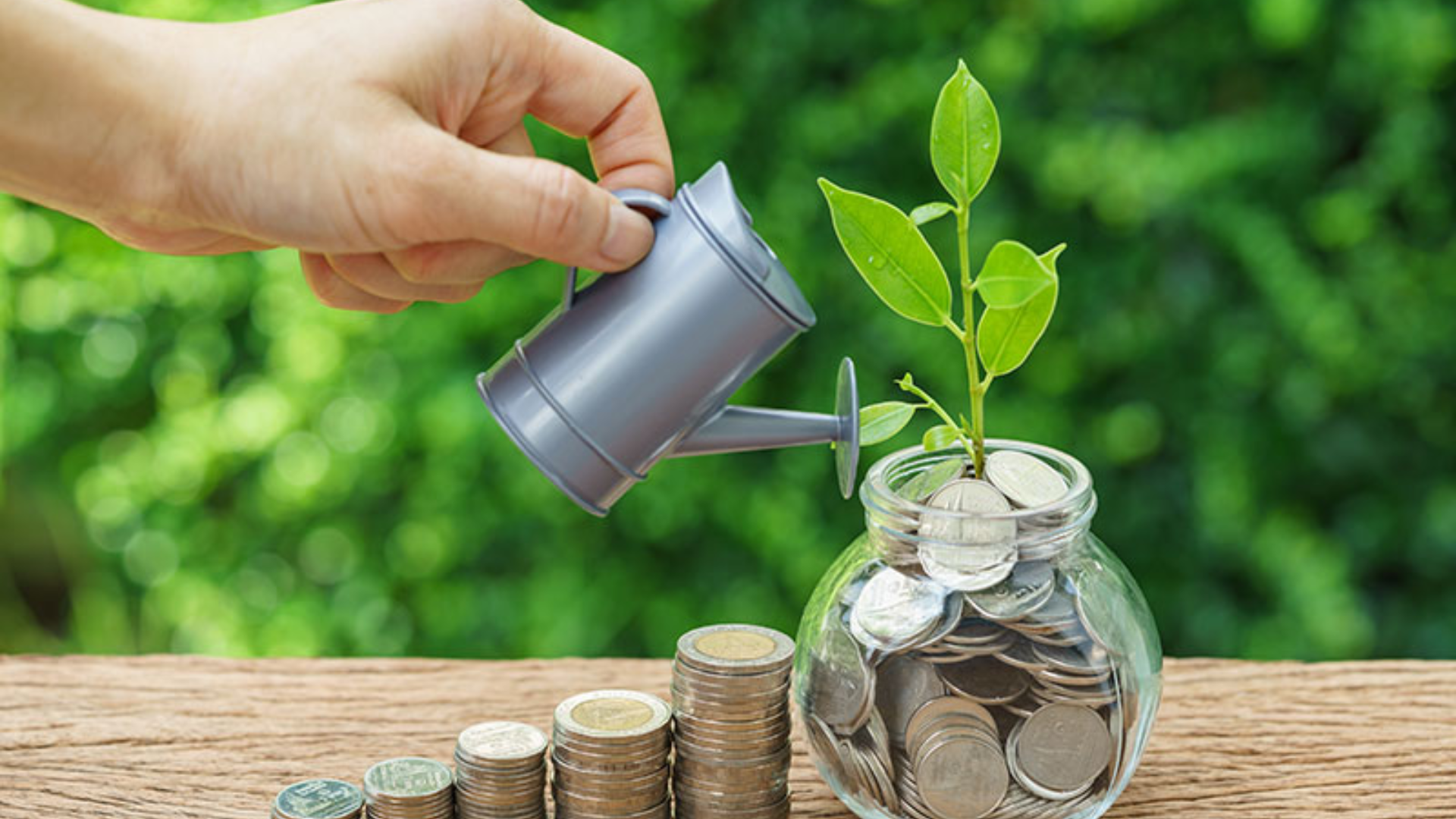 Investments